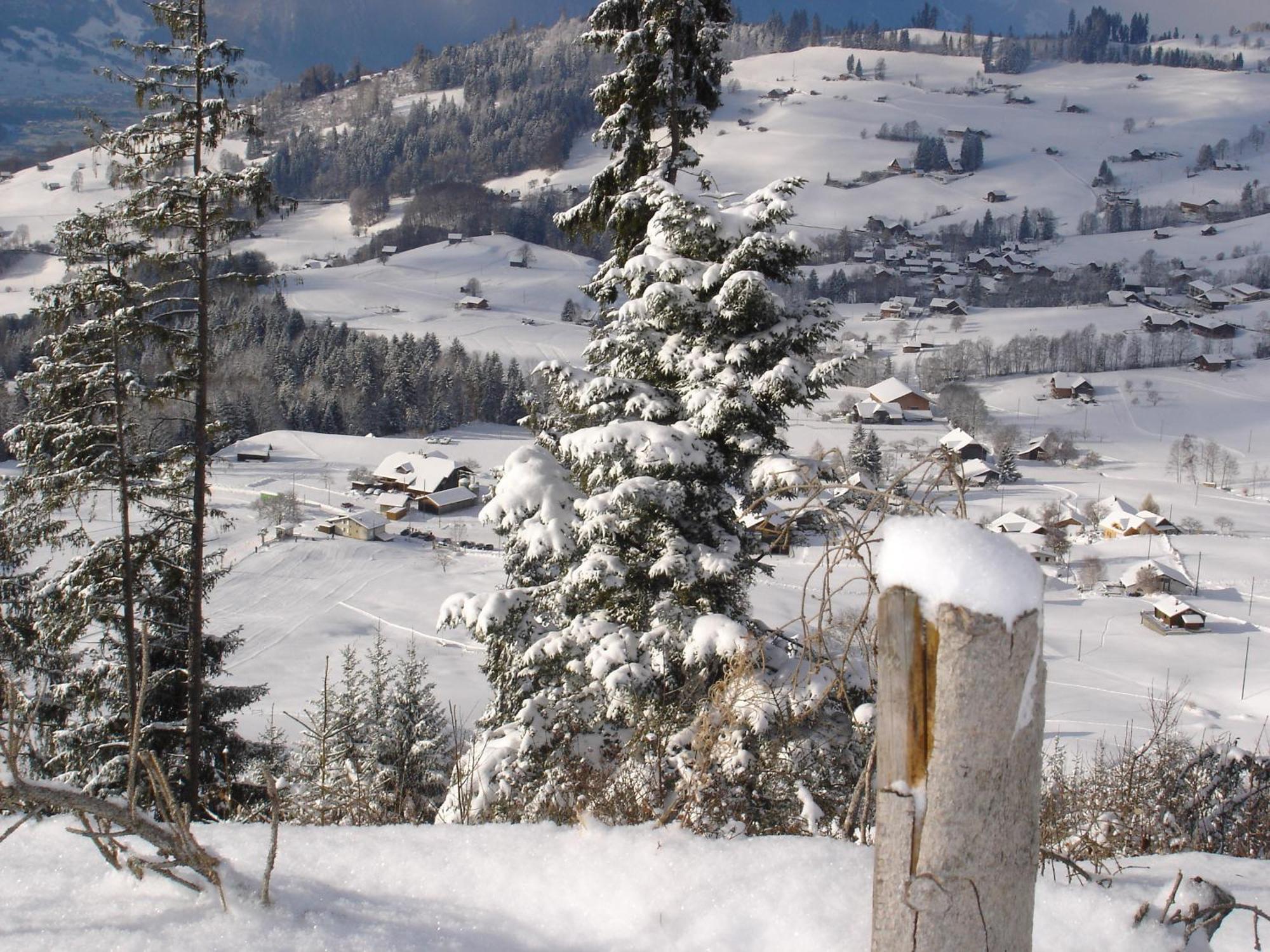 Chalet Sunneschyn Schwanden  Exteriör bild