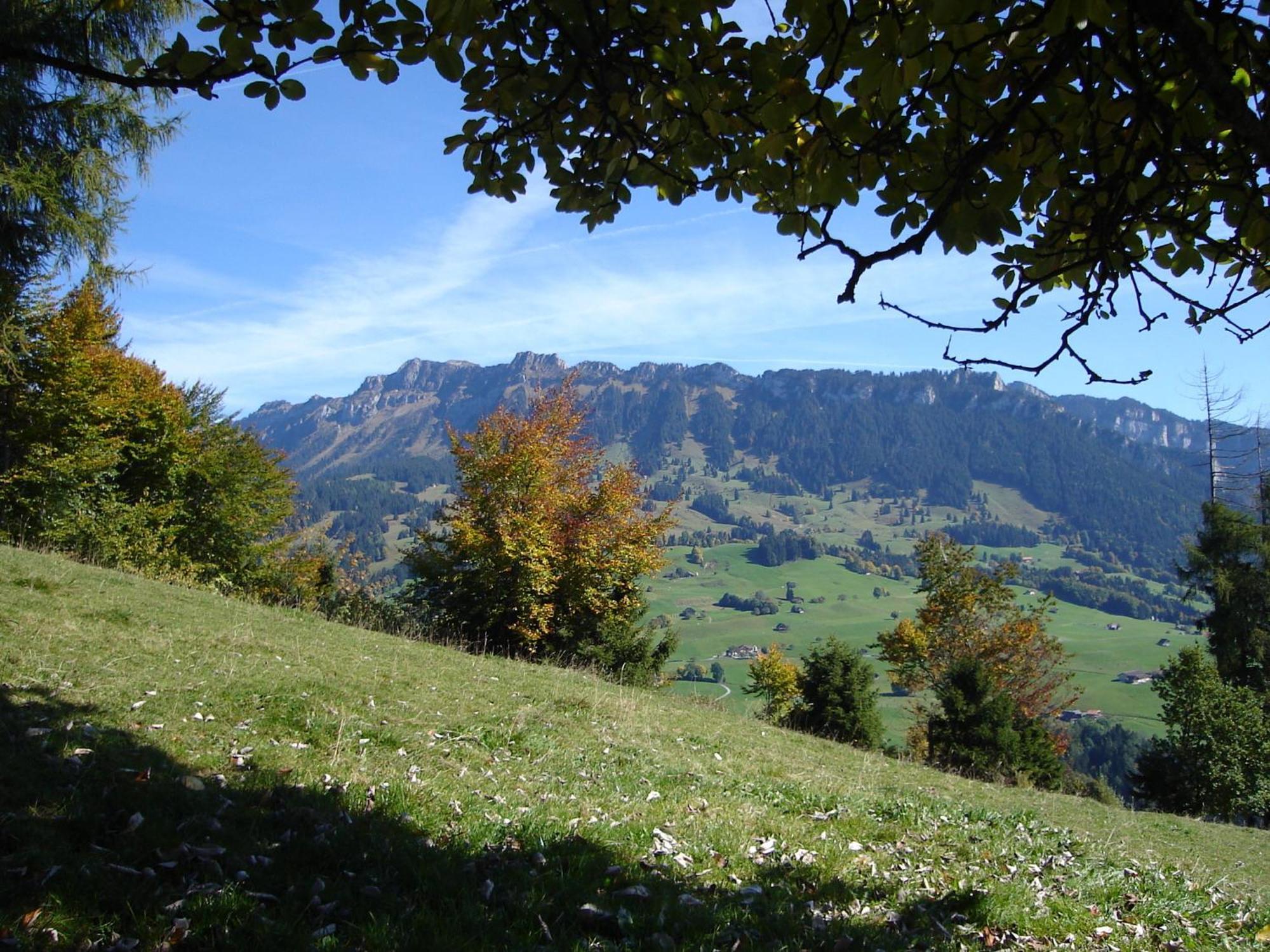 Chalet Sunneschyn Schwanden  Exteriör bild